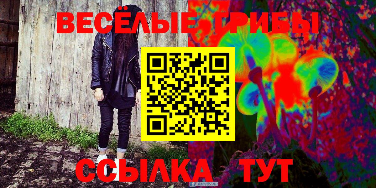 где можно купить   Вход с VPN  Уварово  Псилоцибиновые грибы ЛСД 